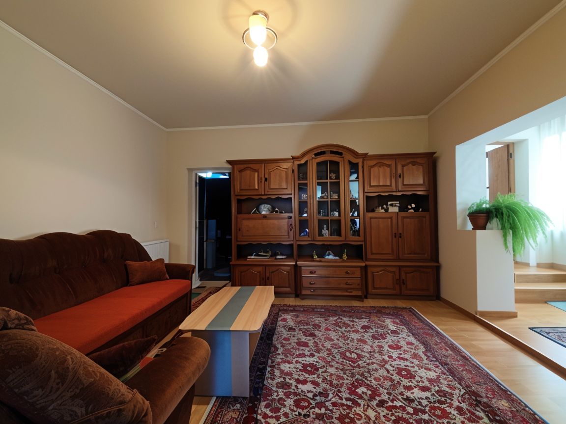 Casa la tara - teren 2826 mp, acces auto, in Sacadat, Bihor - Poză 5