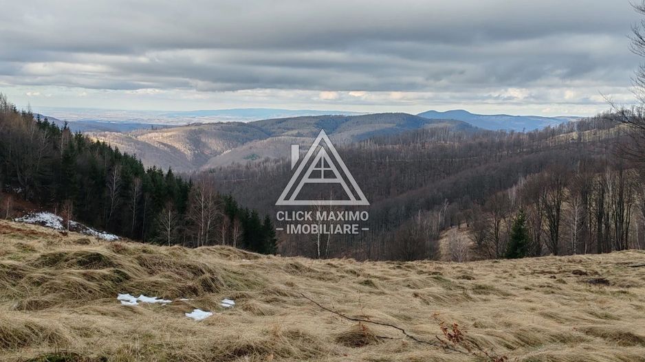 19.5 Hectare în Zona Turistică Montană – Bulz, Bihor - Poză 2