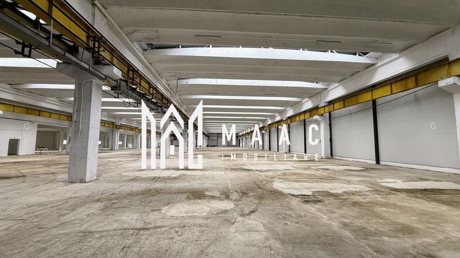 Hala producție I 6857 mp I Acces TIR I Pod Rulant I Mârșa - Poză 2