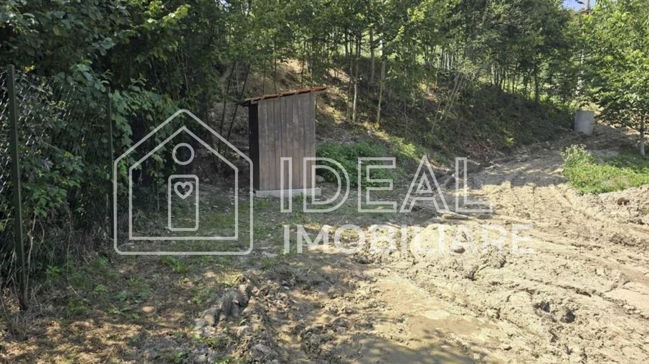 Teren extravilan 2.300 mp – Cârțișoara, județul Sibiu - Poză 6