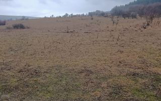 Teren 10000mp intravilan Chinteni 14 case aprobate  Investiție dezvoltator - Poză 4