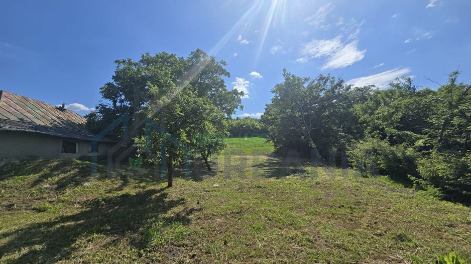 Casă cu teren de 1,4 hectare și vie, în Raducaneni - 3 camere - Poză 8