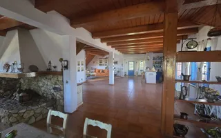 Vilă elegantă și casă independentă pentru oaspeți - Banesti - Poză 16