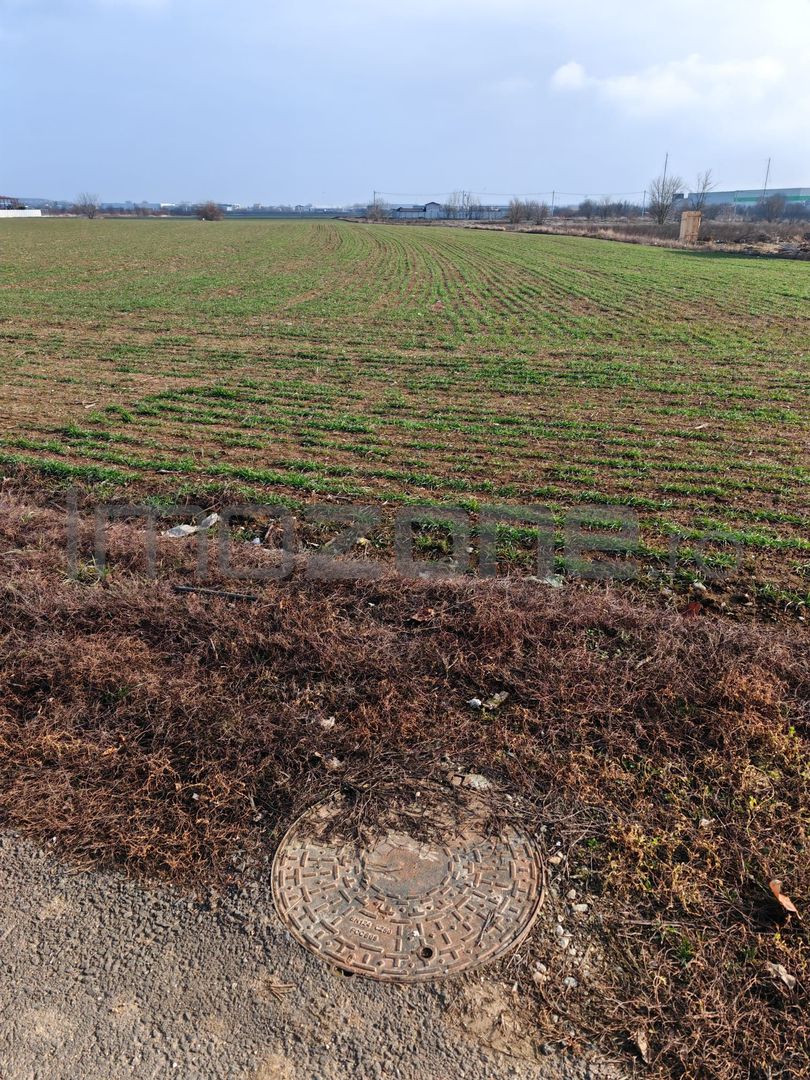 Dragomiresti Valea - Langa Centura, teren 31.200 mp, 35E/mp - Poză 6