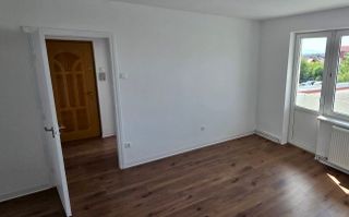 Apartament 2 camere de vanzare zona Terezian | Central - Poză 4