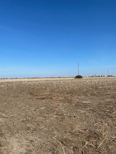 Teren agricol în Zona Sagului - Poză 10