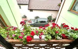 Case duplex | 5 camere | 2 corpuri | Garaj | 185 mp utili | Turnisor - Poză 22