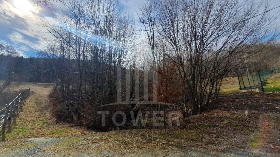 Teren Intravilan 2.938 mp | Tocile - Poză 2