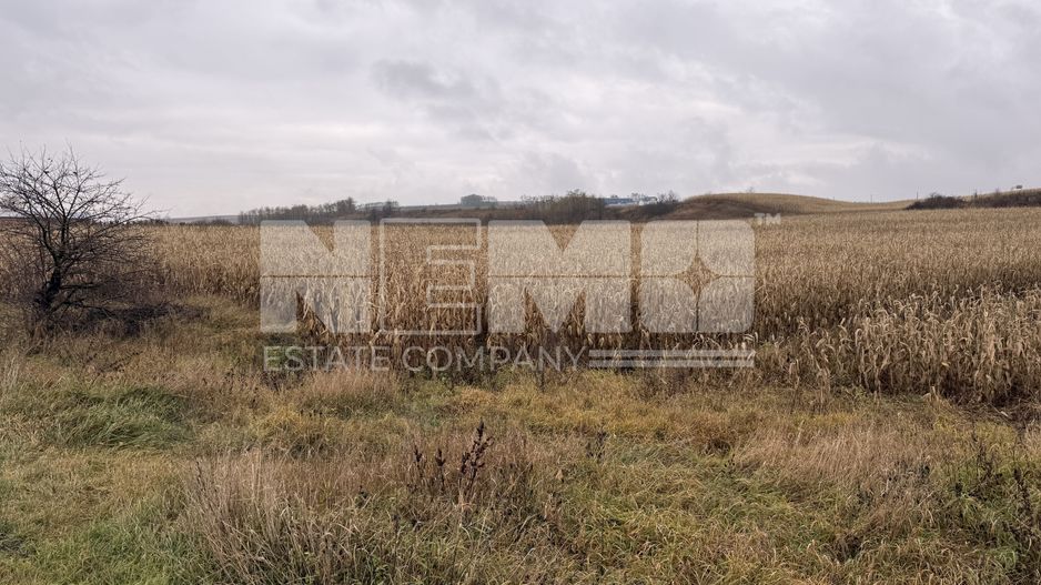 Teren 24 ari | Grănicesti | Front 19 m | DN2H - Poză 2