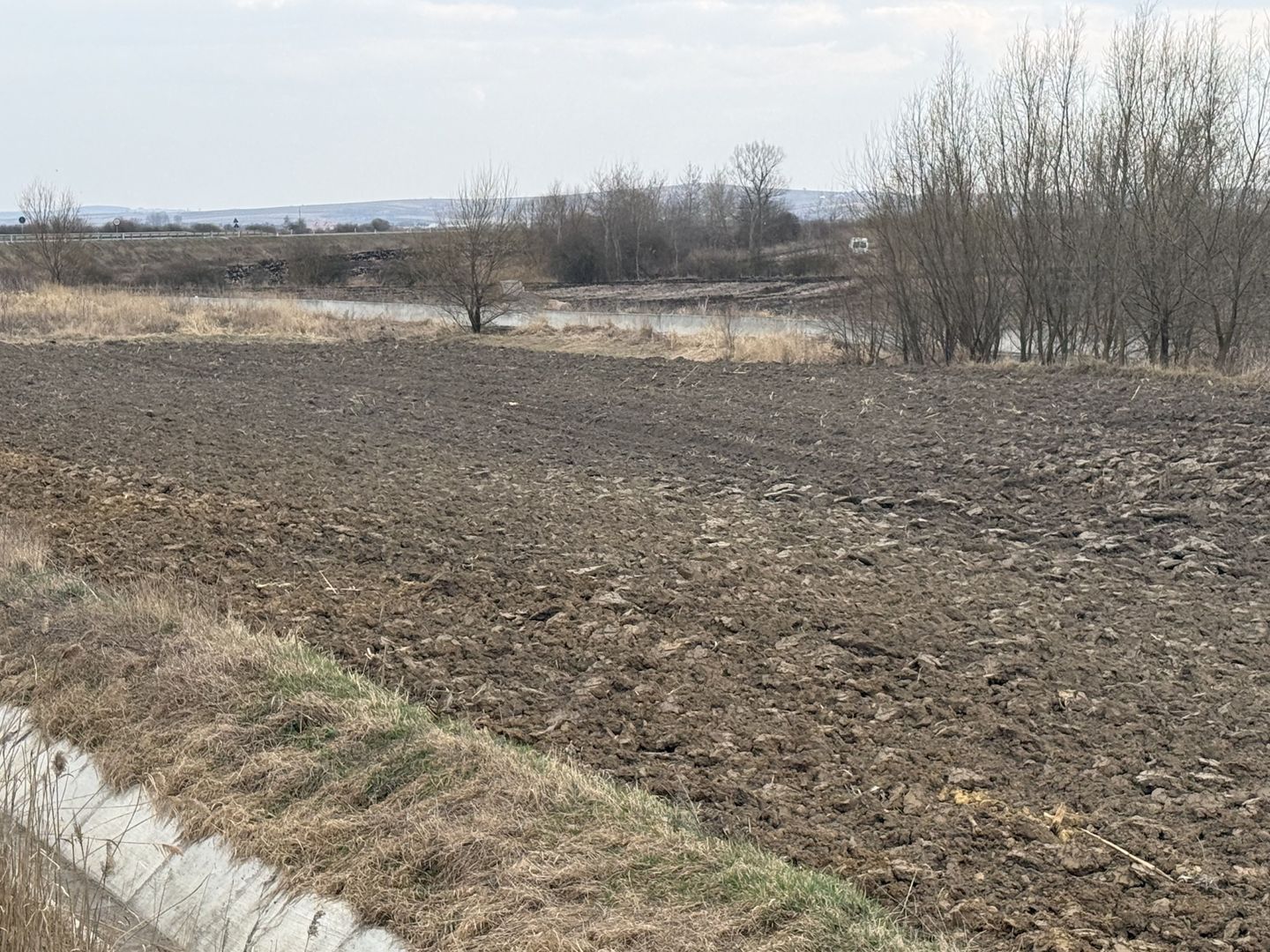 Teren extravilan | Rădăuți | 36 ARI - Poză 3