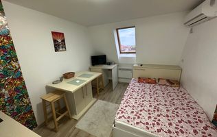 Apartament 1 camera la Mansarda