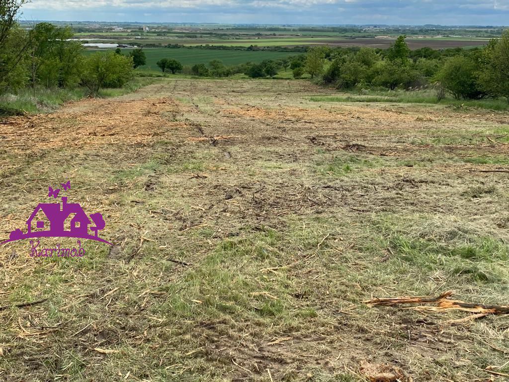 Teren extravilan  zona Episcopia - Poză 3