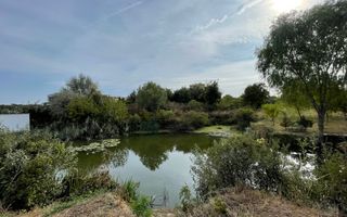 Teren intravilan ***15.000mp*** deschidere Lac Snagov 120ml // Snagov - Poză 2