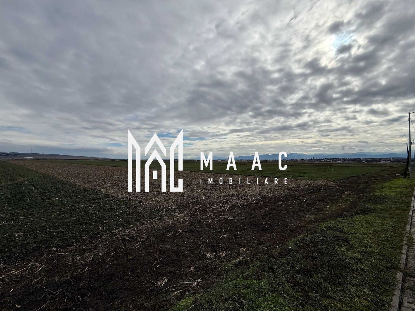 Teren intravilan | 9600 mp | Șură Mică | Utilități | Drum Asfaltat - Poză 4