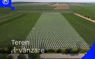 Teren - Orășeni Deal, Curtești | BOTOȘANI | 10.000mp - Poză 1