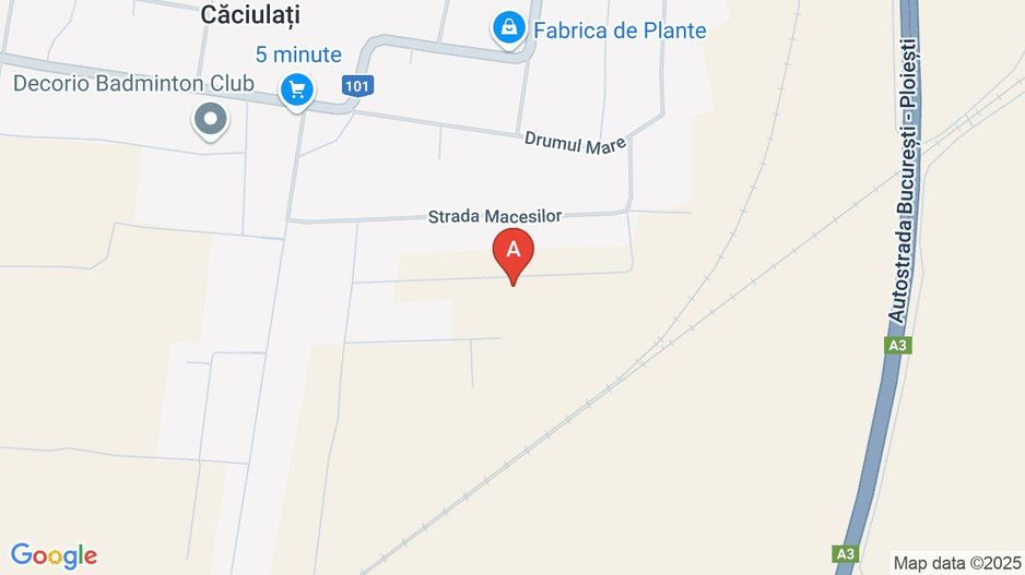 Caciulati! Teren de vanzare - 1500 mp la 15 minute de capitala - Poză 2
