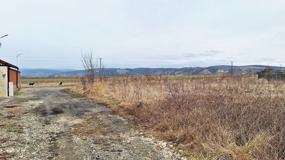 Teren Intravilan cu PUZ, intre case in Bod, 537mp, 21480 euro - Poză 6