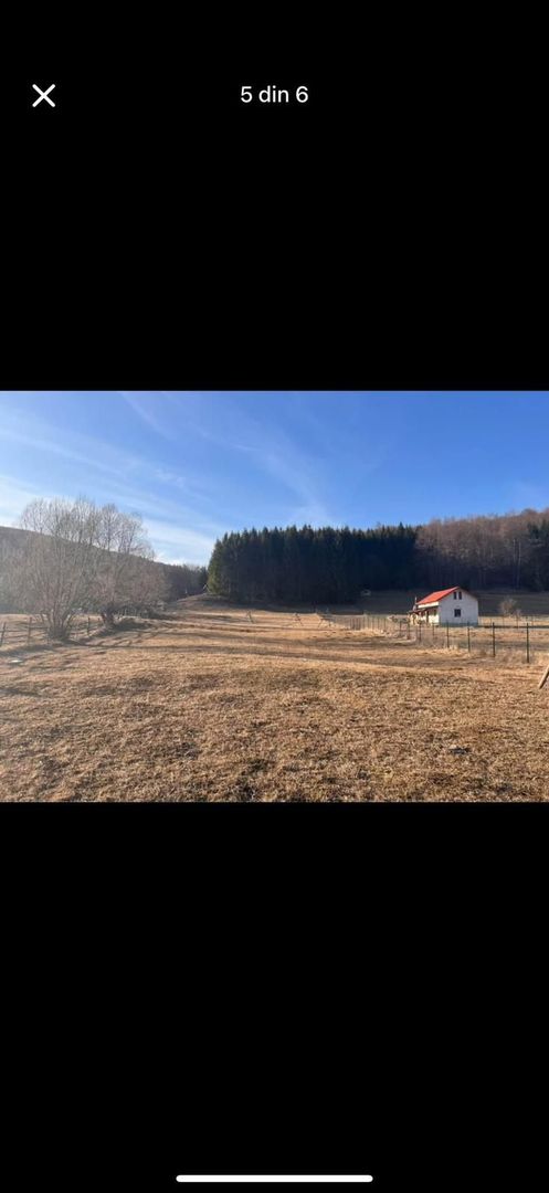 Teren intravilan 4521mp lângă pădure-valea Doftanei -Calea Brasovului - Poză 13