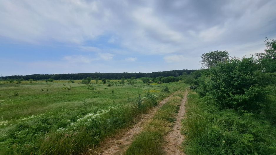 Loturi de teren intravilan 300 mp - Andronache - Poză 2