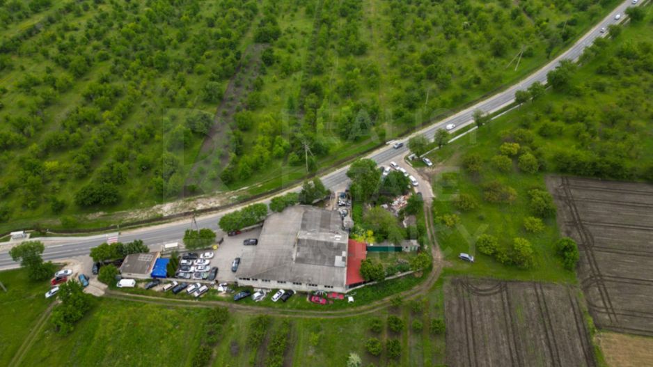 Spre vânzare  teren agricol, comuna Trușeni - Poză 7
