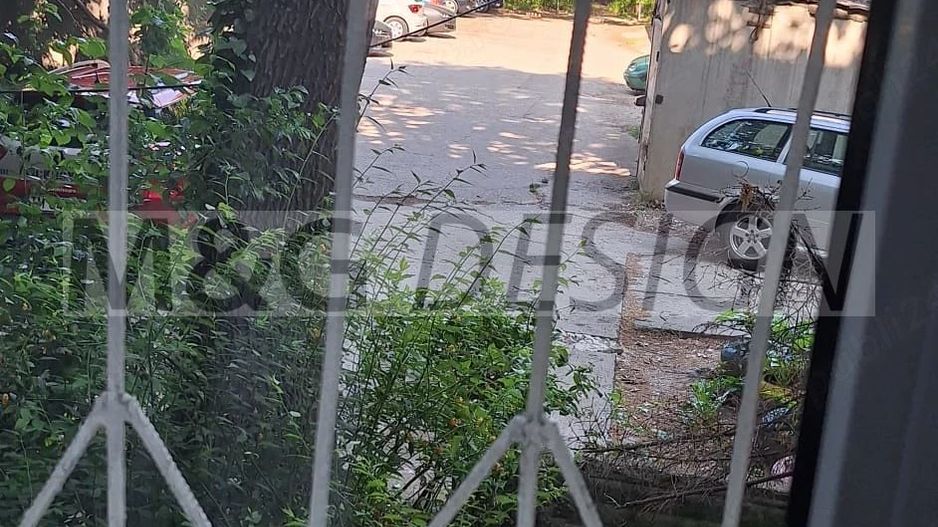3 camere decomandat parter Lipovei - Poză 8