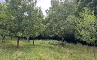 Teren extravilan 2000 mp | Rășinari | livadă, lângă Cisnădioara - Poză 3