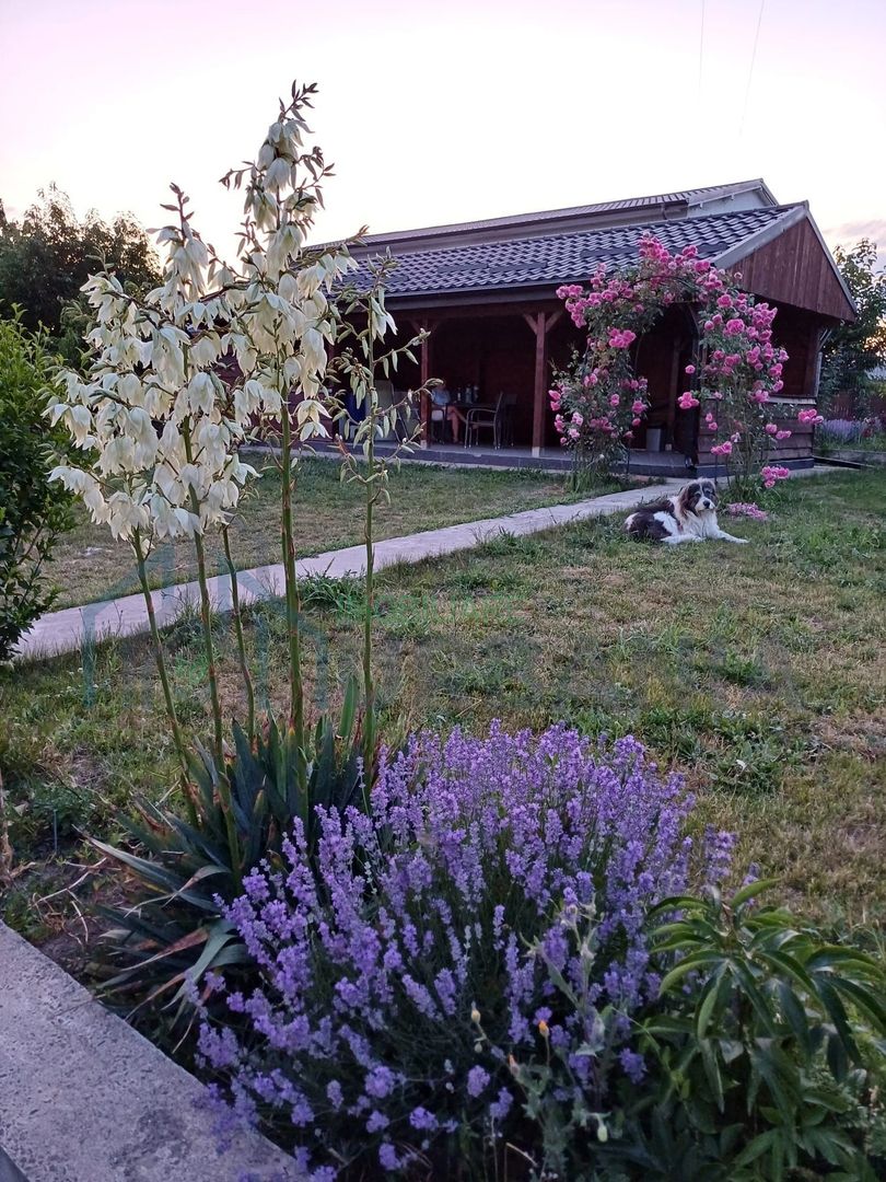 Casă P+E, construită 2018, teren 1500 mp, mobilată complet – Valea Lupului - Poză 7