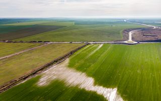 Teren 270,000mp Giarmata - Poză 6