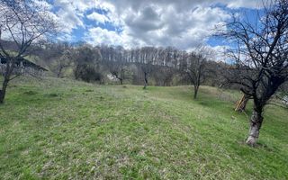 TEREN INTRAVILAN 4365 MP POENARII DE MUȘCEL  JUDEȚUL ARGES - Poză 12