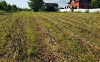 Teren intravilan – Adunatii Copaceni | 3.399 mp | Ideal investitie - Poză 1