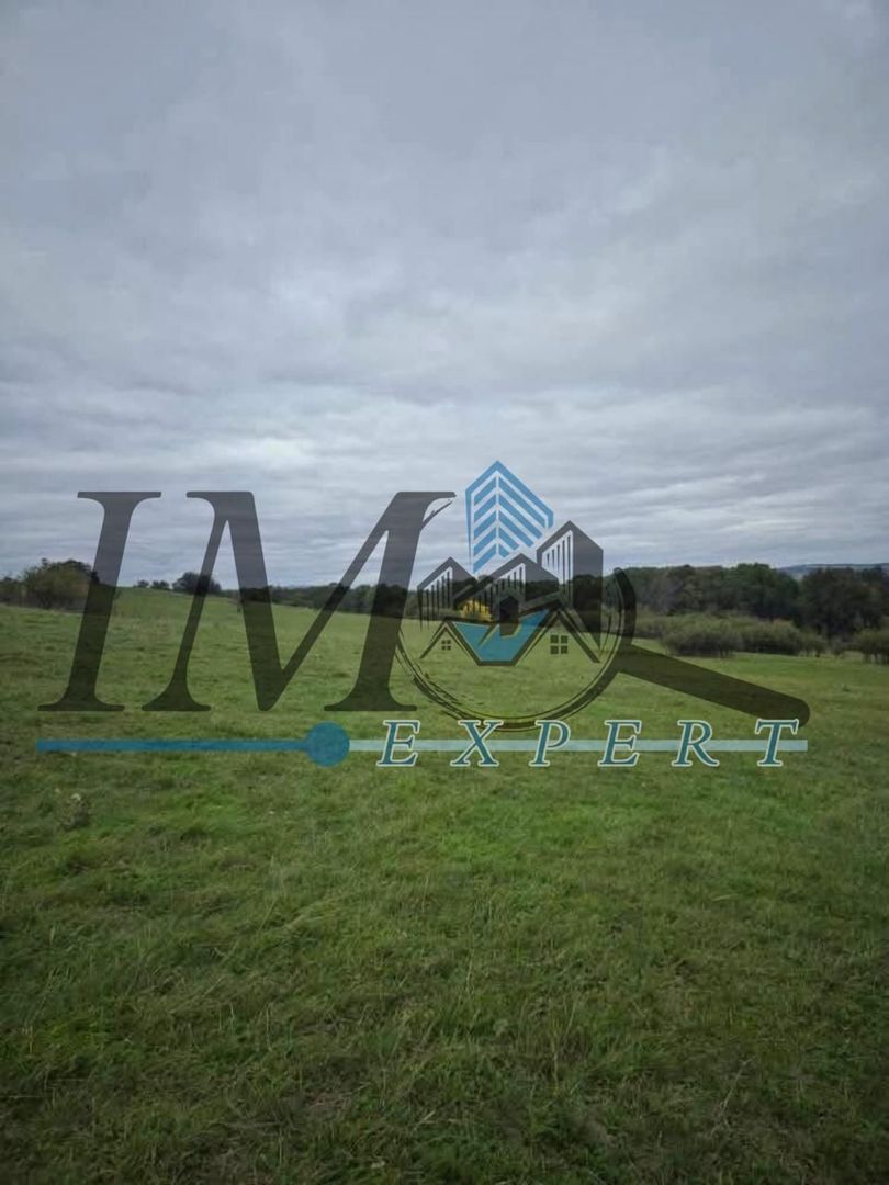 Teren de vanzare in Petresti  Jud Alba extravilan - Poză 4