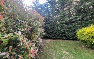 Comision 0,AP 3 Cam parter ,terasa,curte proprie, LUX. - Poză 19