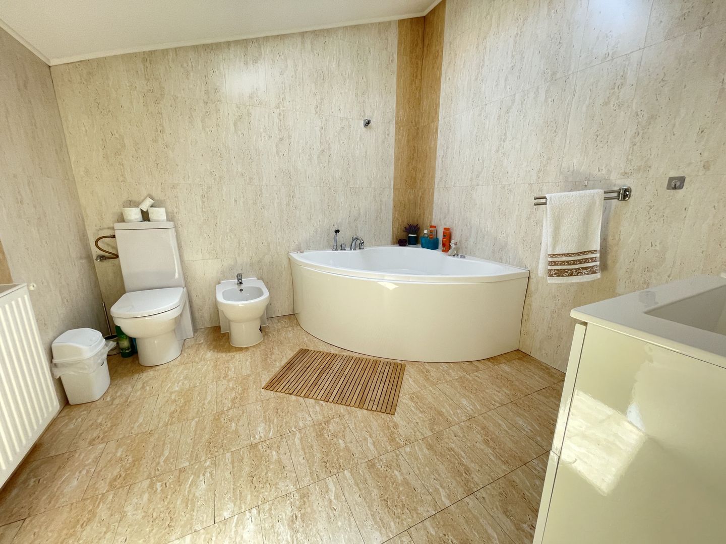 Apartament in zona P-ta Unirii - Poză 13