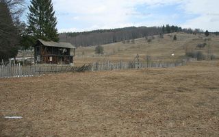 VALEA DOFTANEI - Traisteni, langa Conacul Dascalu, vanzare 2.537 mp. teren - Poză 11