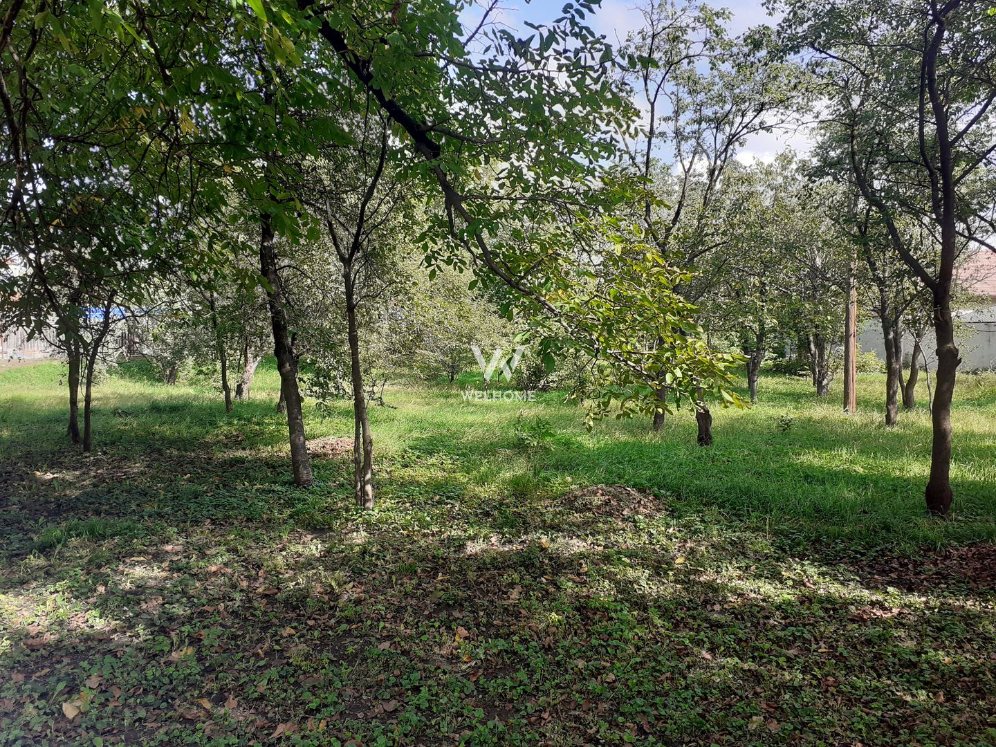 Teren intravilan constructii cu PUZ - S+P+3E+R - Ultracentral - SIBIU - Poză 3