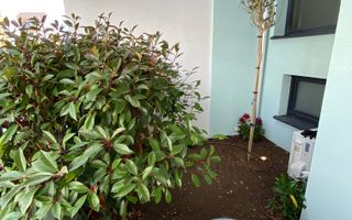 Apartament 3 camere - Dumbravita - Poză 4