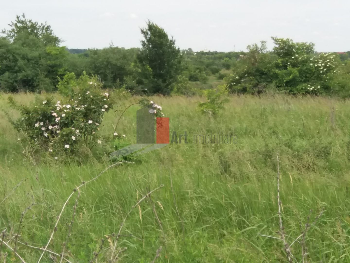 Teren Buftea cu iesire la lac - Poză 21
