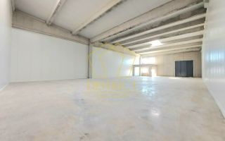 Spatiu tip Hala Noua I Sanandrei - Poză 4