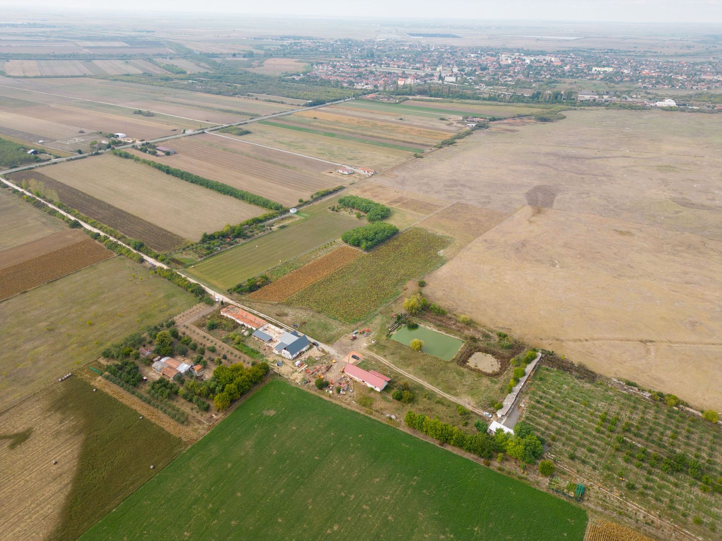 Teren intravilan cu iazuri și casă - Chișineu-Criș - Poză 10