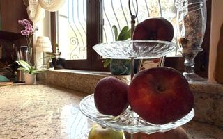 Vila spectaculoasa Corbeanca *padure proprie si piscina - Poză 28