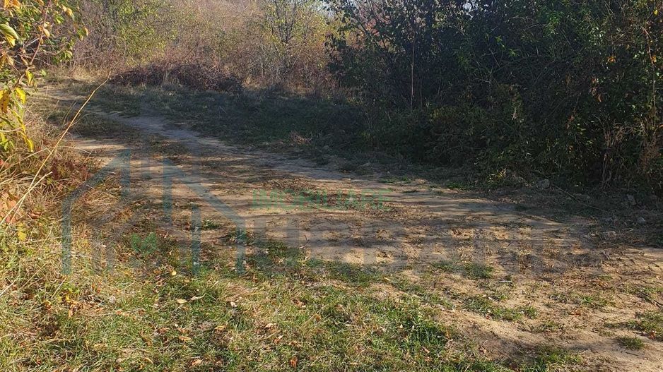 Teren extravilan de vânzare – Tomesti sat, zona deluroasa - Poză 2