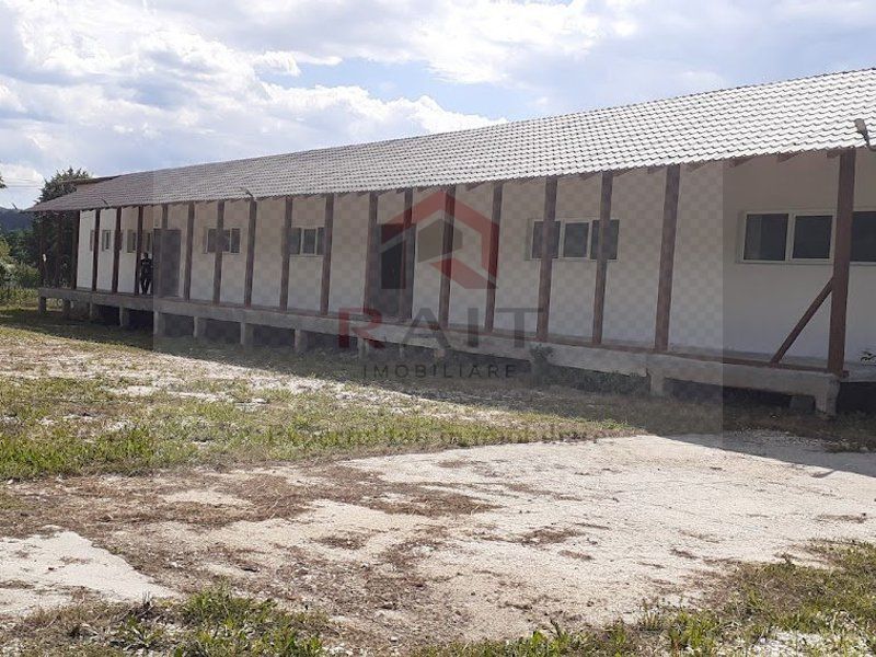 Hala de Inchiriat Godeni Arges - Poză 9