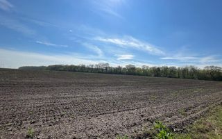 Teren Vadu Anei langa padure 1300 mp - Poză 1