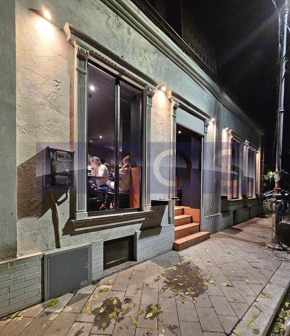 VANZARE CASA VILA PIATA ROMANA AMZEI ULTRACENTRAL INVESTITIE 130MP - Poză 3