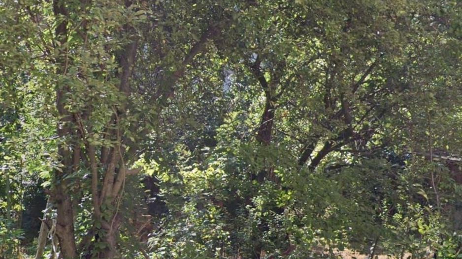 Teren intravilan 317mp Unic Herastrau sector 1 - Poză 3