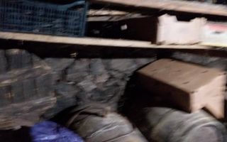 Proprietate cu 60000 mp pamant la pret de apartament - Poză 10