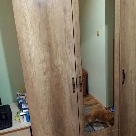 Garsoniera, Zona Garii - Poză 6