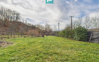 Casă deosebită la Urvişu de Beliu - Poză 5