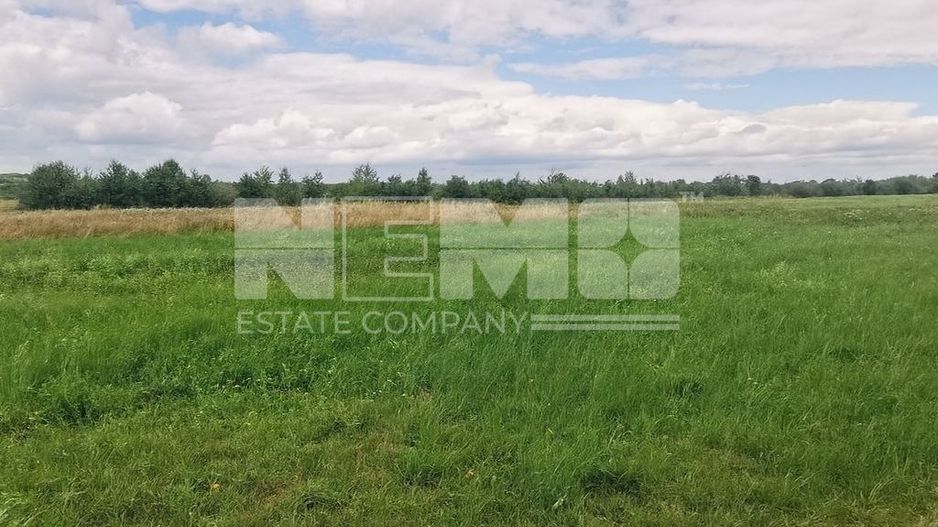 Teren Intravilan | 2.200 mp | Vicovu de Sus - Poză 4