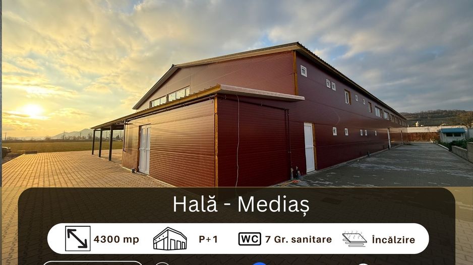 Hală de inchiriat, Medias - Poză 1